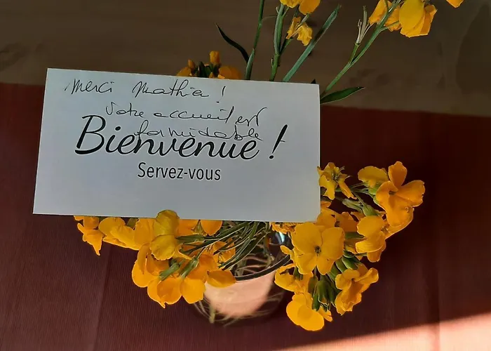 Le Moutardier : Chaleureux T2 Au Coeur De * Ντιζόν